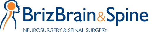 BrizBrain & Spine